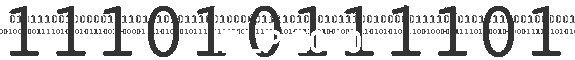 IRLP 2010